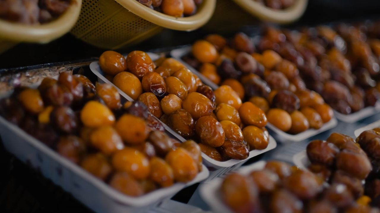 Discovering the Health Benefits of Dates
